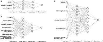 Development, Validation and Comparison of Artificial Neural Network Models and Logistic Regression Models Predicting Survival of Unresectable Pancreatic Cancer